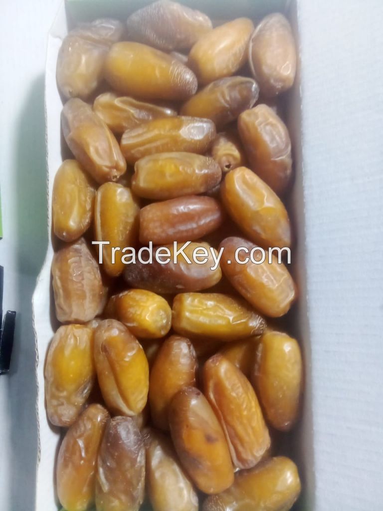 Deglet Nour Tunisia Dates 