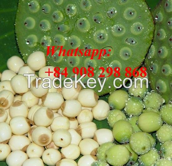 the best price lutos seeds in VIet NAm