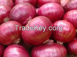 onion