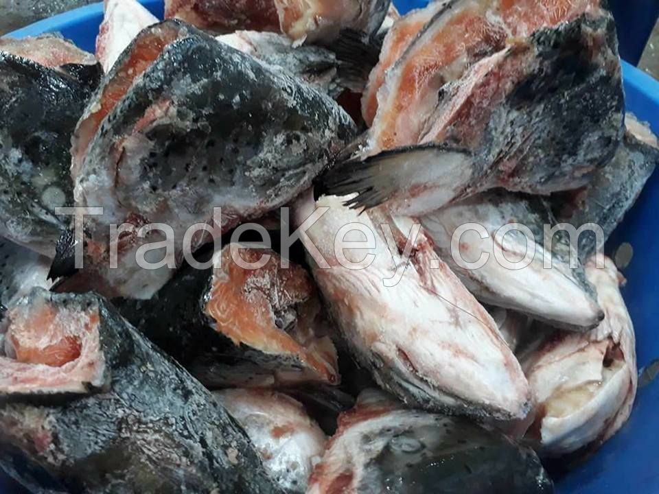 Frozen Salmon Heads