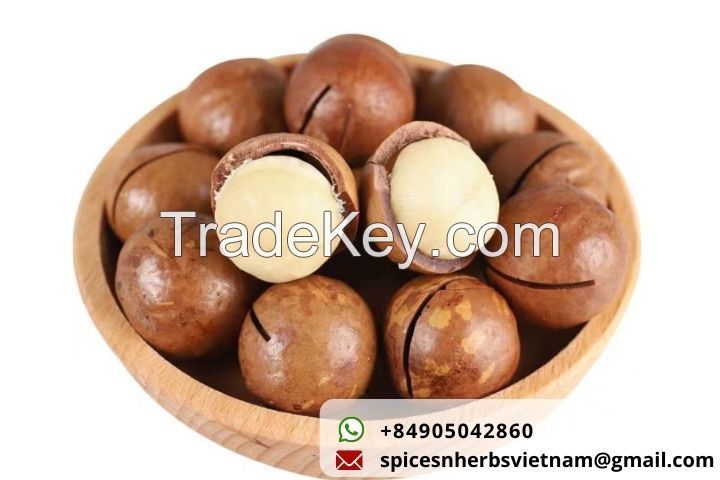 Macadamiaâ€¨ nut from vietnam