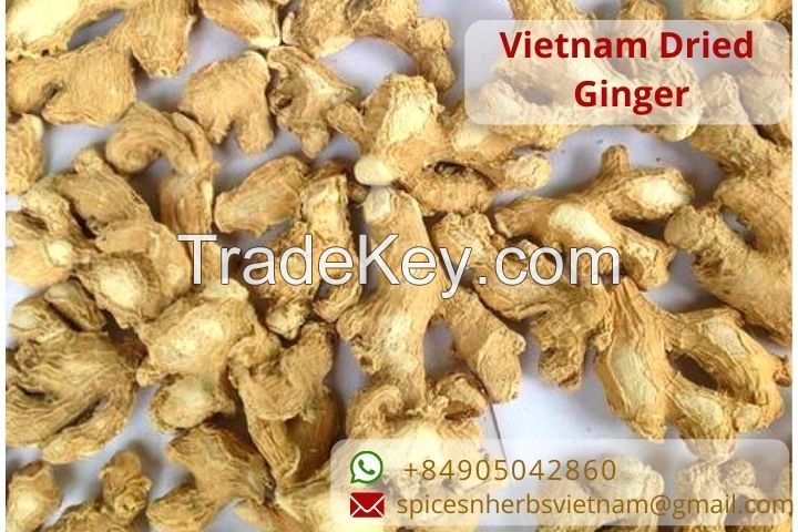 Vietnam ginger export products