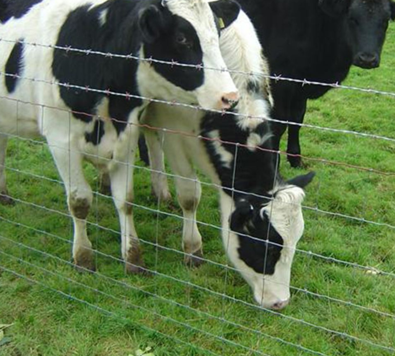 Hot-Dipped Galvanized Farm Grassland Field Fence Made in China