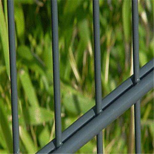 Double Wire Panel Fence/2D Panel Fence on Hot Sale