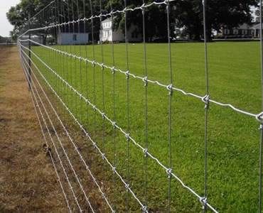 Hot-Dipped Galvanized Farm Grassland Field Fence Made in China