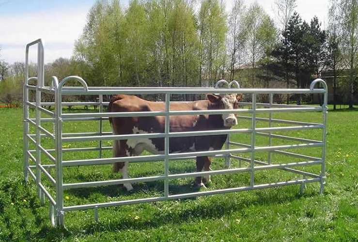 High Quality Hot Dipped Galvanized Livestock Metal Fence Panels