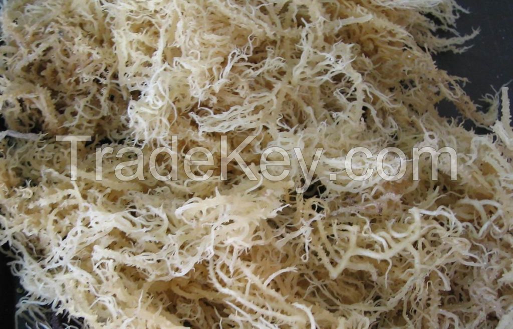 Dried Eucheuma Cottonii