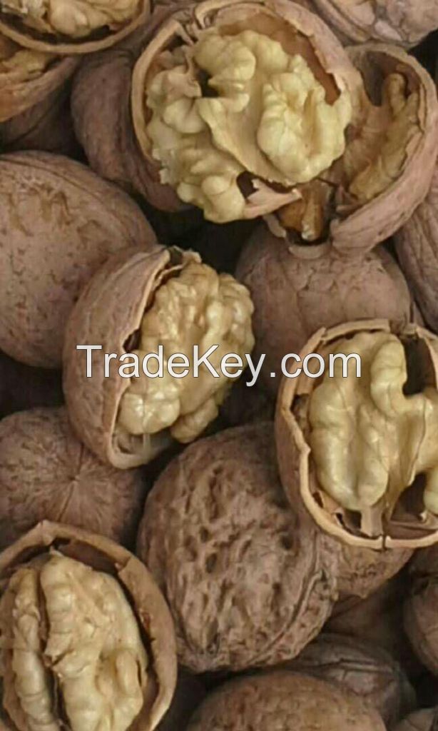 Walnut