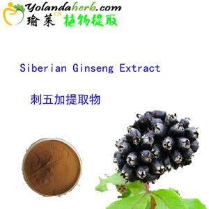 Siberian ginseng extract, No chemical additive eleutherosides b+e 1.5%