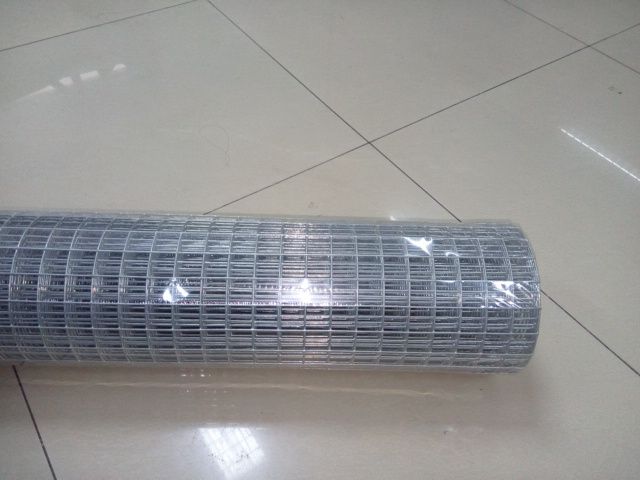 Welded Wire Mesh