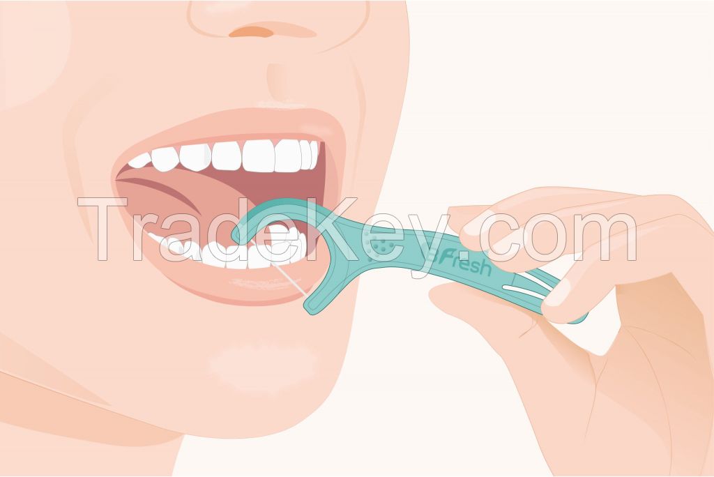 BFresh Dental Floss Picks