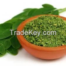 Moringa Dry Leaves and Powder