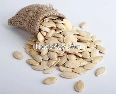 Pumpkin Seeds