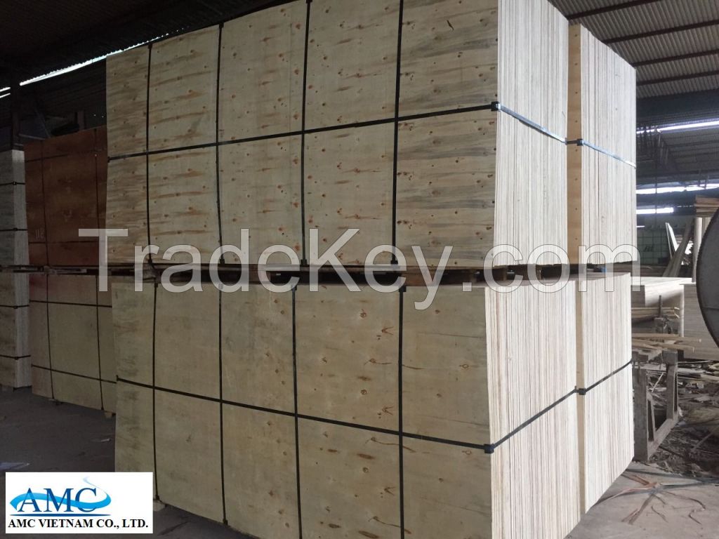 VIETNAM PACKING PLYWOOD