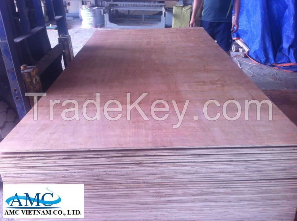 VIETNAM PACKING PLYWOOD