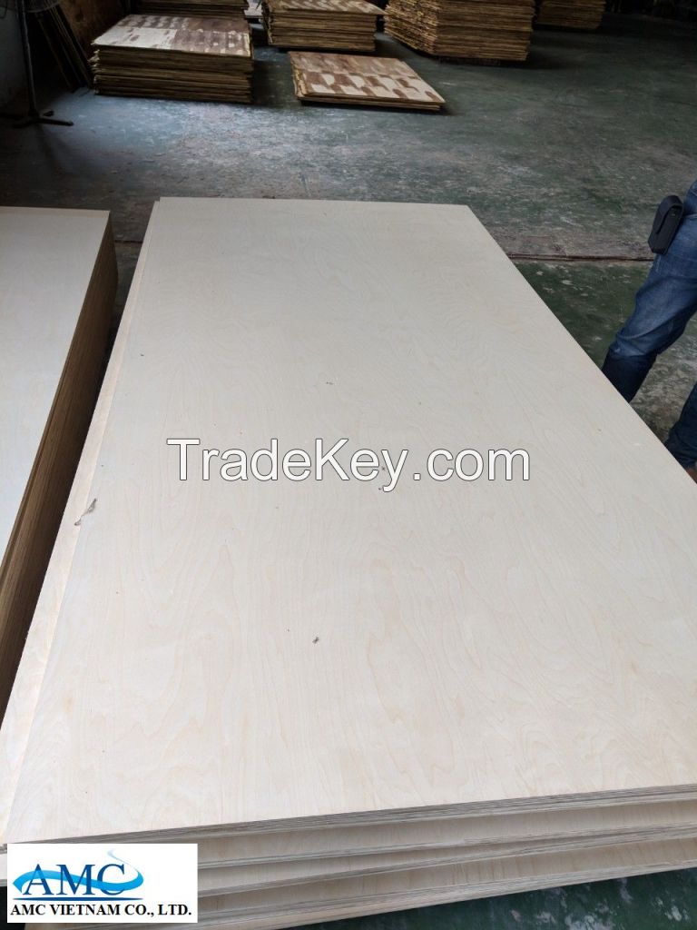 Birch Plywood E0 Eco-friendly 