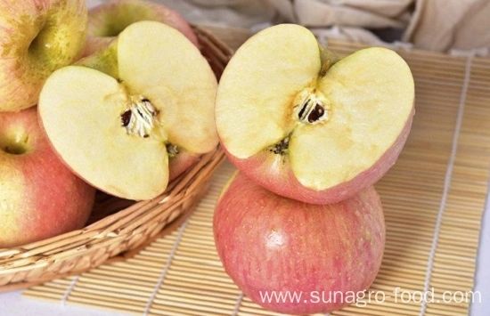 High Yield And Quality Red Fuji Apple