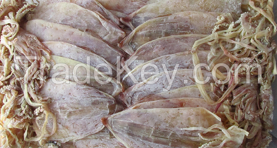 Dried squid Vietnam