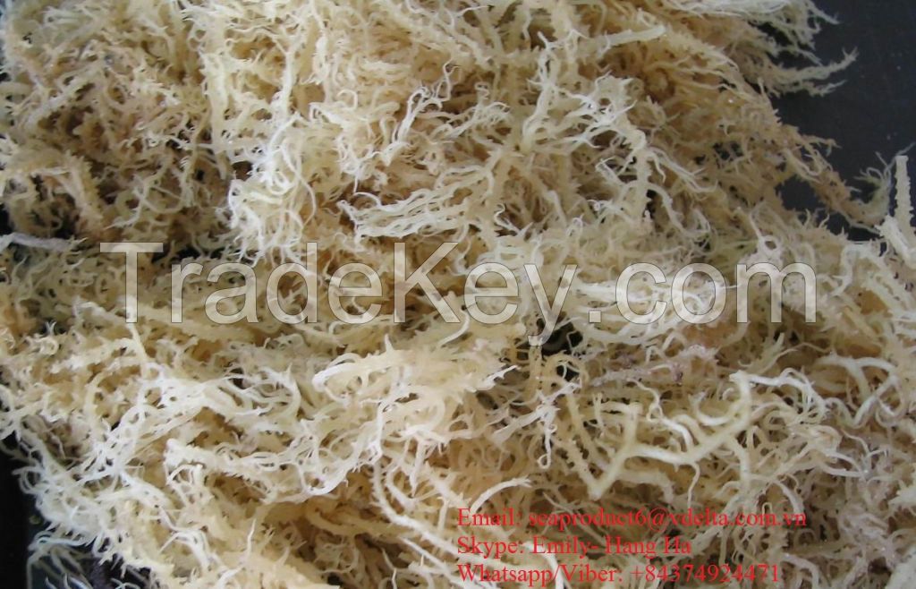 Dried Eucheuma Cottonii 