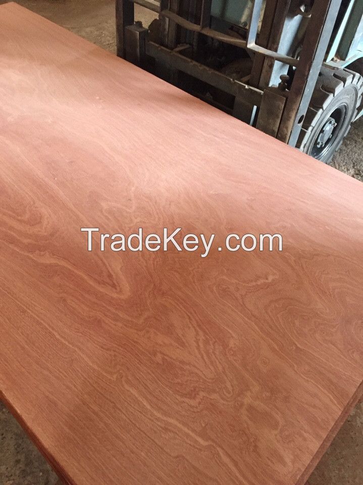 Vietnam Plywood