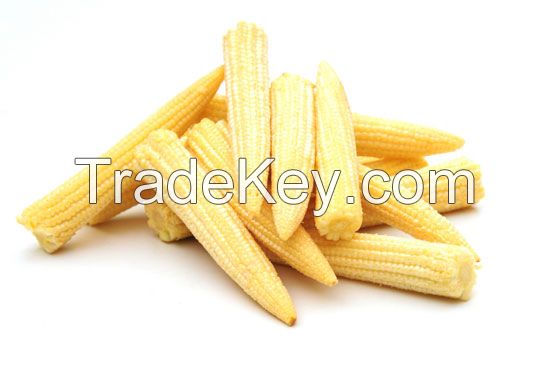 Canned Baby Corn