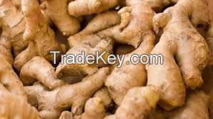 Fresh Ginger