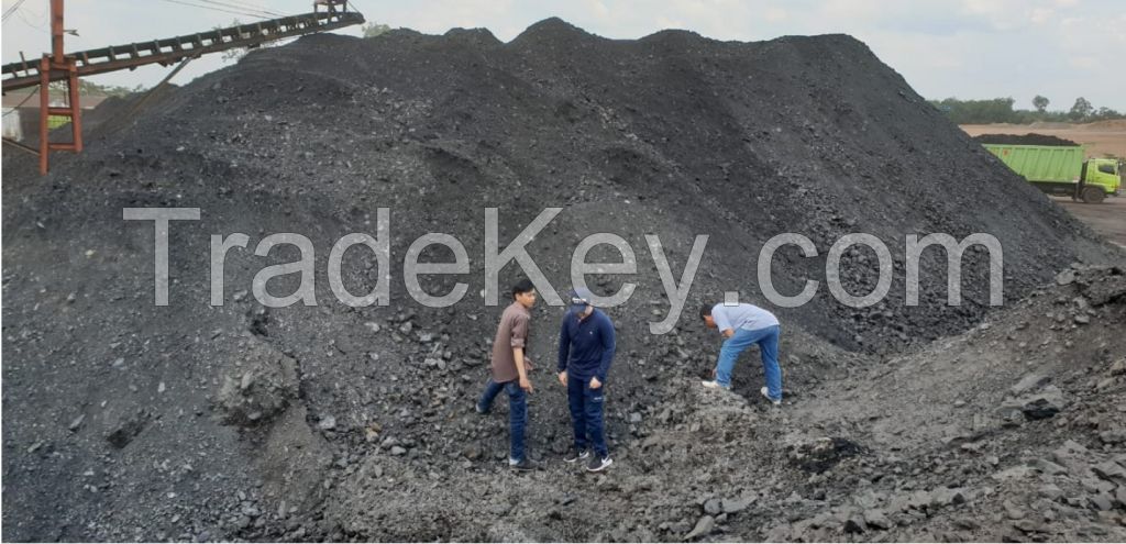 Steam Coal Bituminous GCV 5800 (ARB)