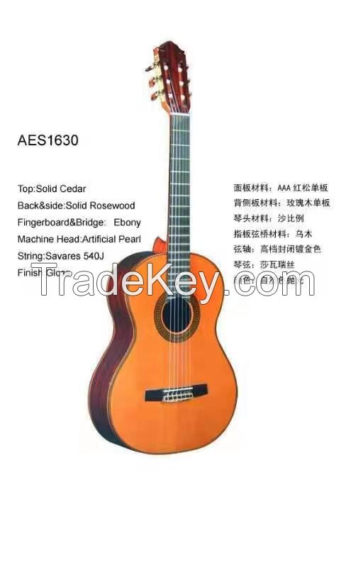 Acoustic Guitar AES 1630