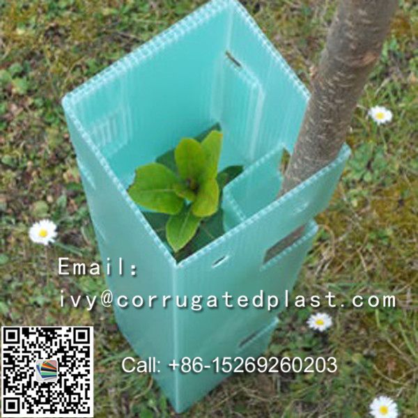 Easy fold, strong and light, Eco-friendly UV protected Corflute Tree Guards