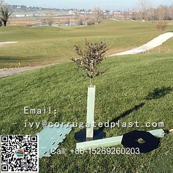 Easy fold, strong and light, Eco-friendly UV protected Corflute Tree Guards