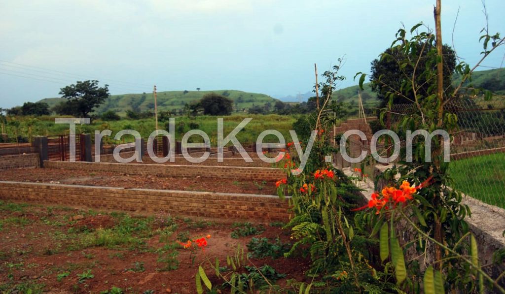 Buy NA Plot in Pune | Buying Residential Plots in Pune - Growscapes