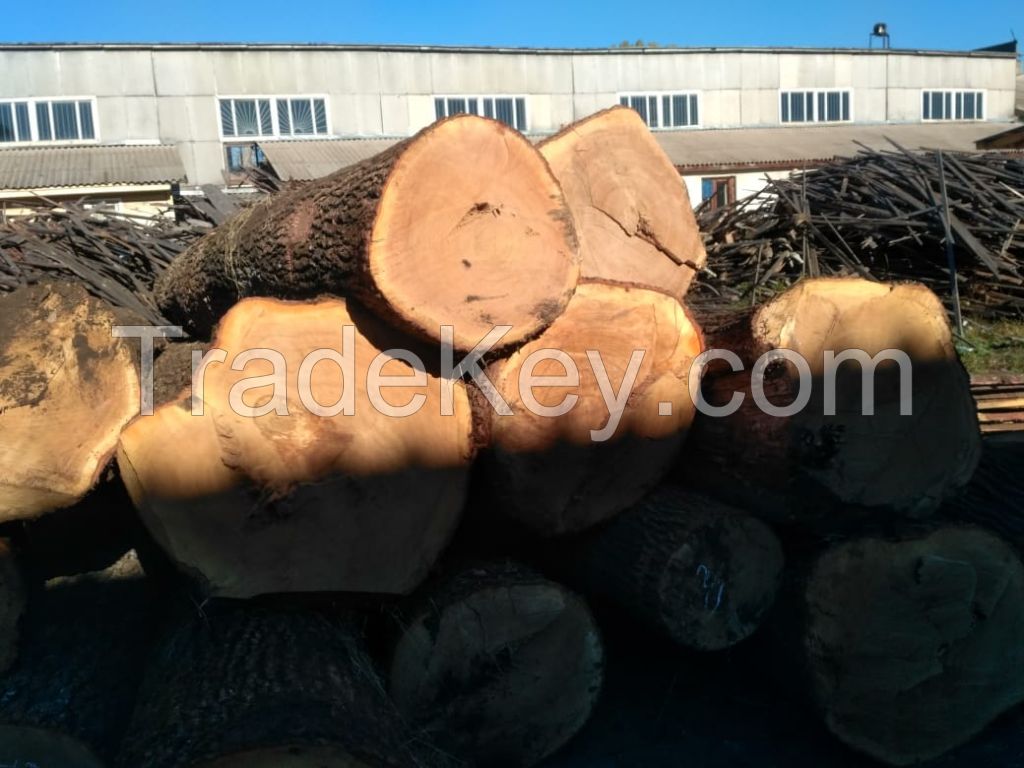Sawn timber and wood products
