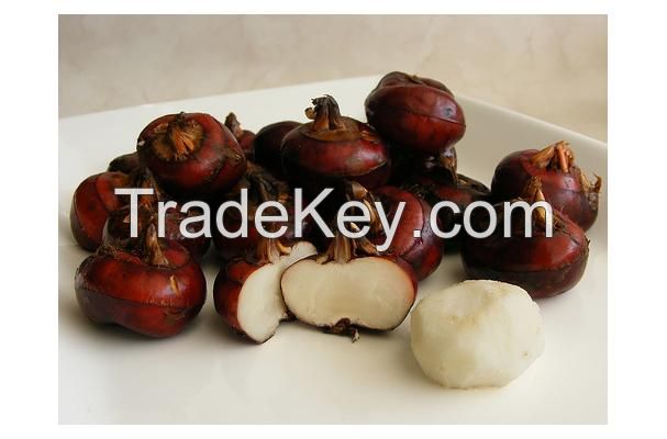 frozen water chestnut slice/whole from Thailand 1kg per bag, 10 kg per carton 24 months shelf life