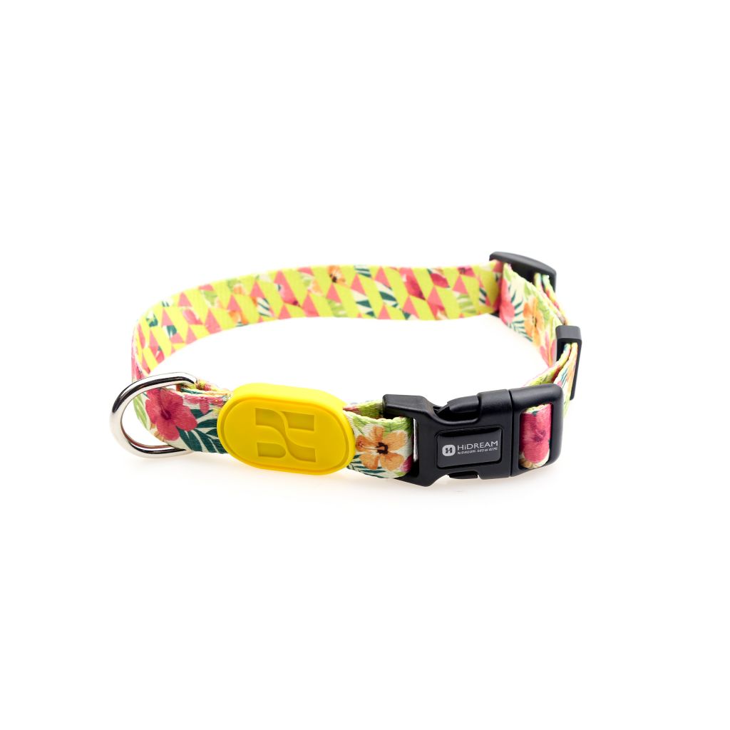 HiDREAM PROFUSION DOG COLLAR fashion dog collar for walking