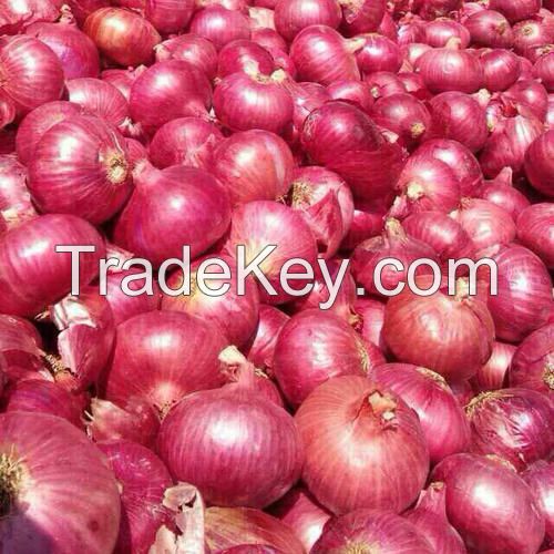 Fresh Onions