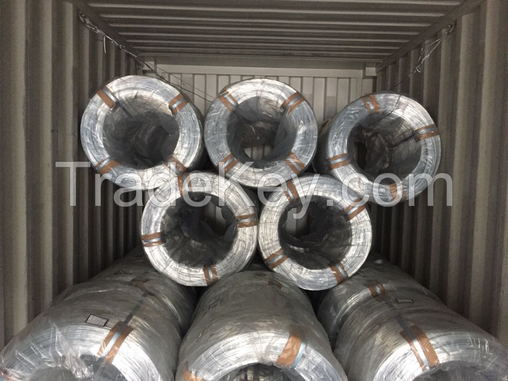 Hot Dipped Galvanized Wire