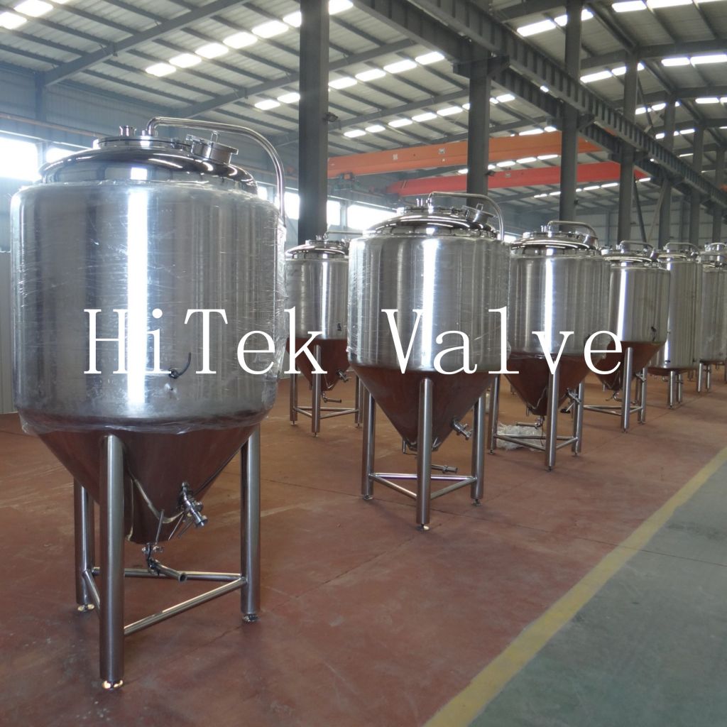 HT10 Conical Stainless Steel Brewery Beer Fermentation Tank Equipment 