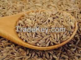 Cumin seeds