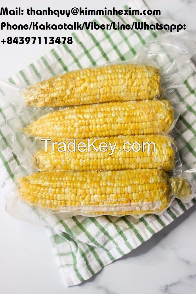 FROZEN CORN EXPORT