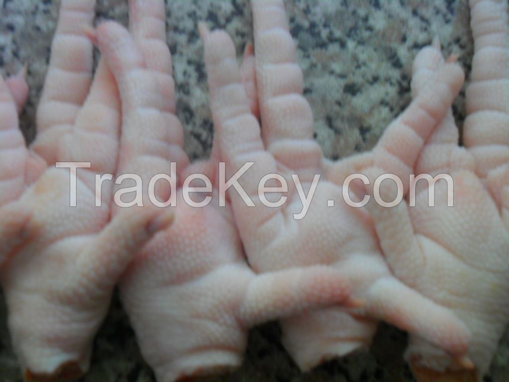 China SIF frozen chicken feet