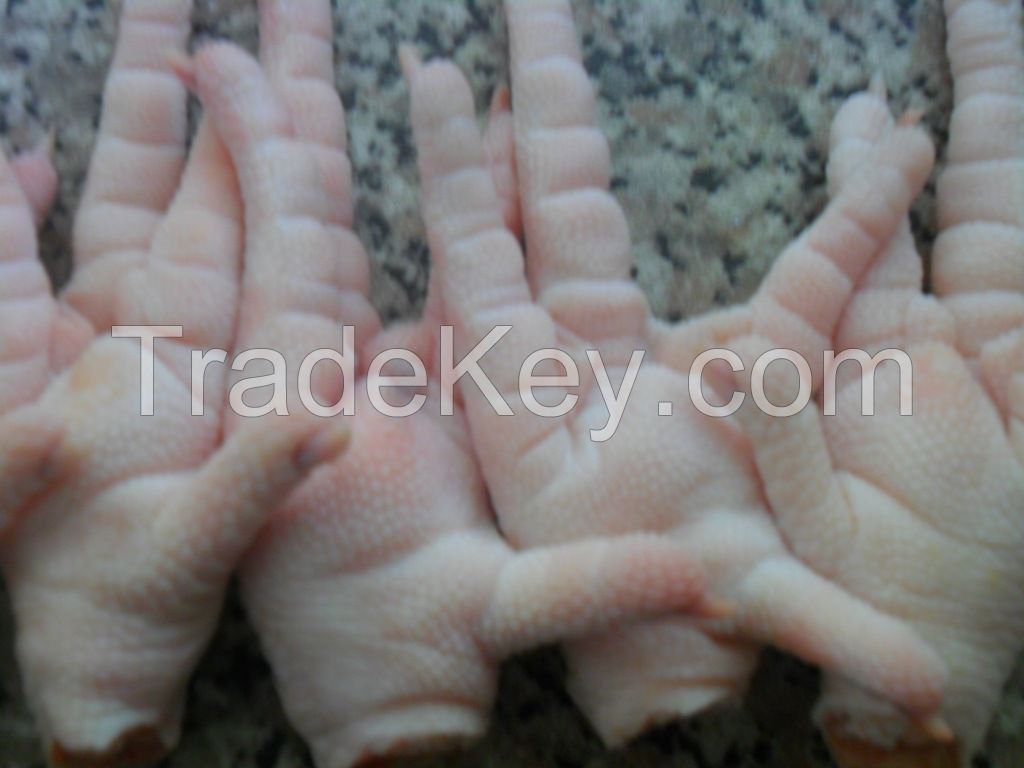 Frozen chicken wings for china