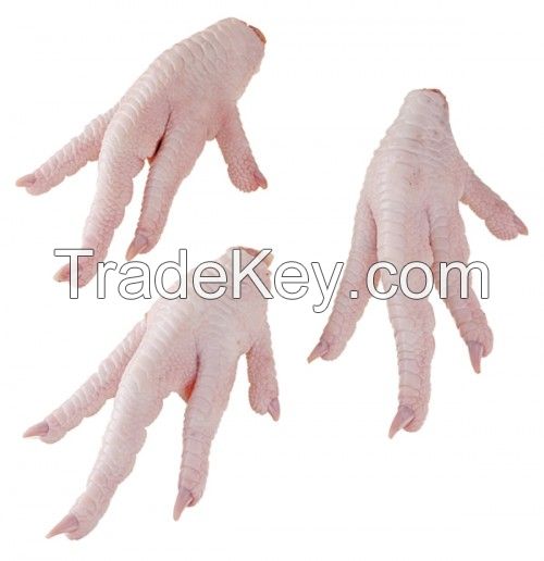 China SIF frozen chicken feet