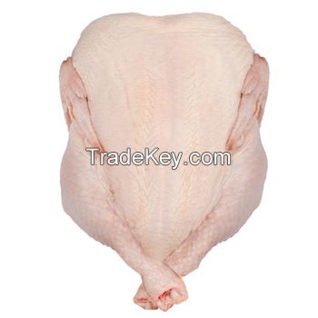 Halal approved frozen whole chicken