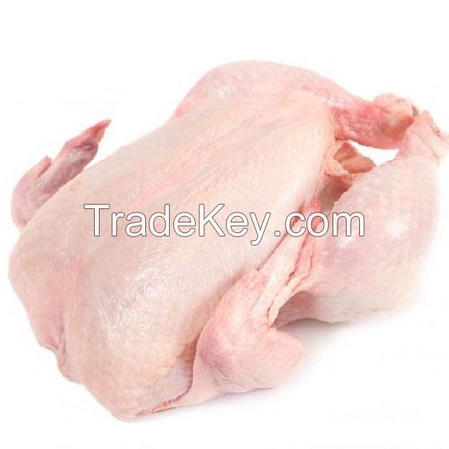 Halal approved frozen whole chicken