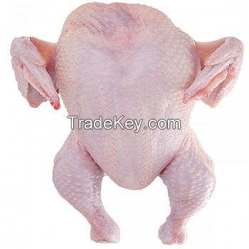 Halal frozen whole chicken