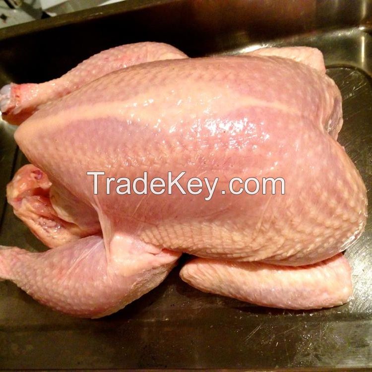 Halal approved frozen whole chicken