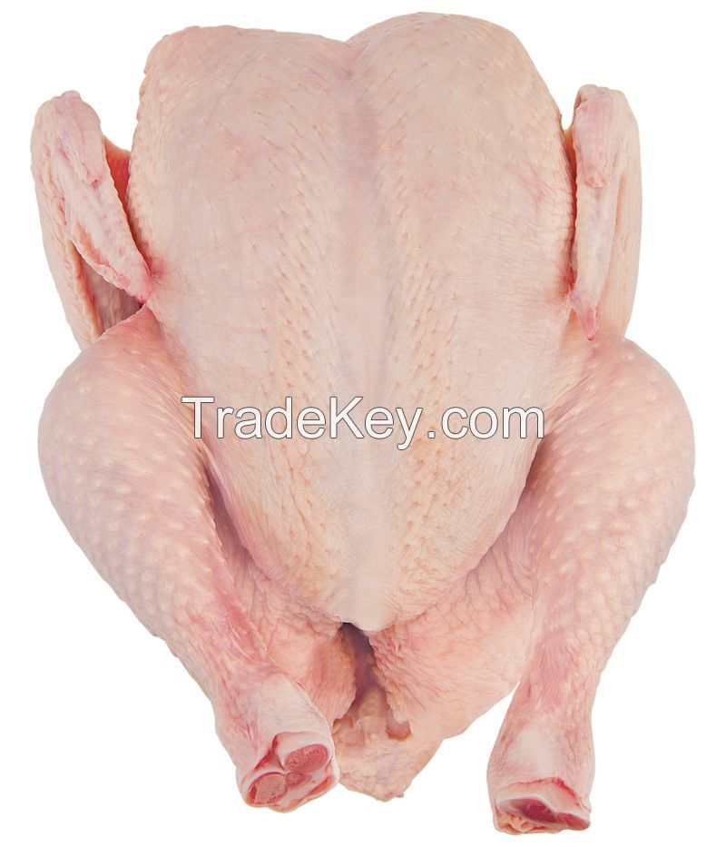 Halal approved frozen whole chicken