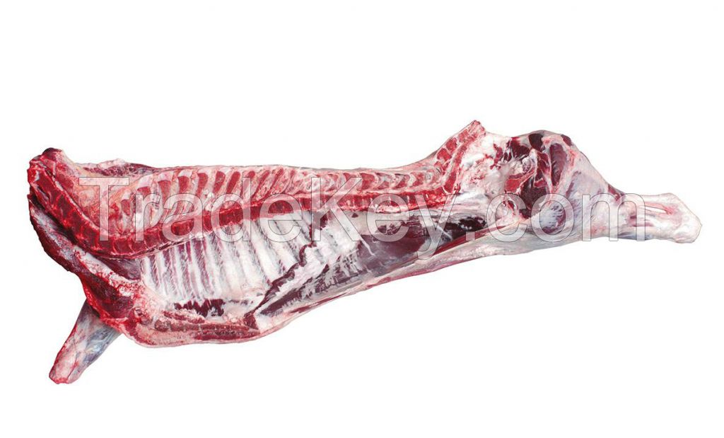 Halal Frozen beef carcass
