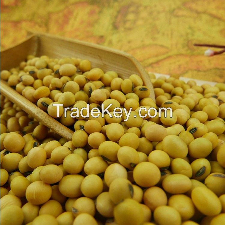 High quality nutrition soy beans for sale