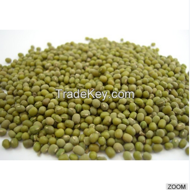 Green Mung Beans/Vigna Beans/Sprouting New Crop  for sale